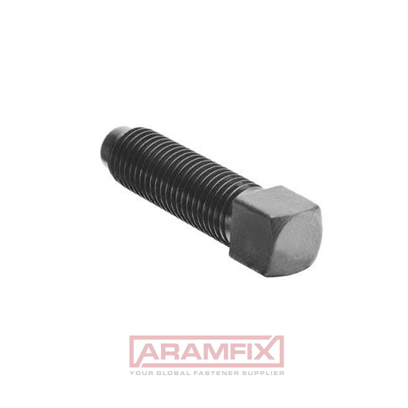 Square head bolt with dog point M5 x 20 mm