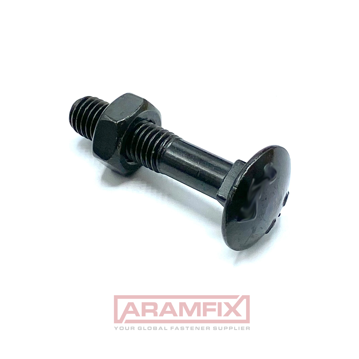 Carriage Bolt with Nut M6 x 10.0 mm