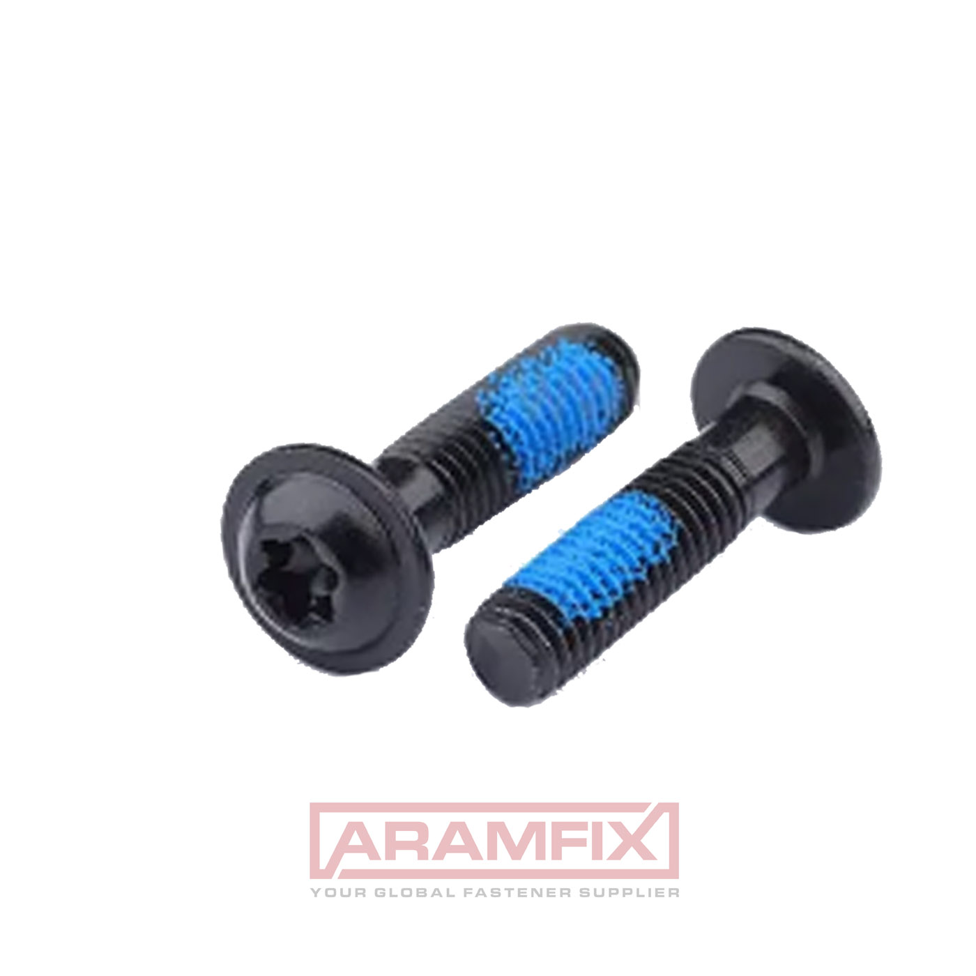 Socket Button Head Screw with Flange M5